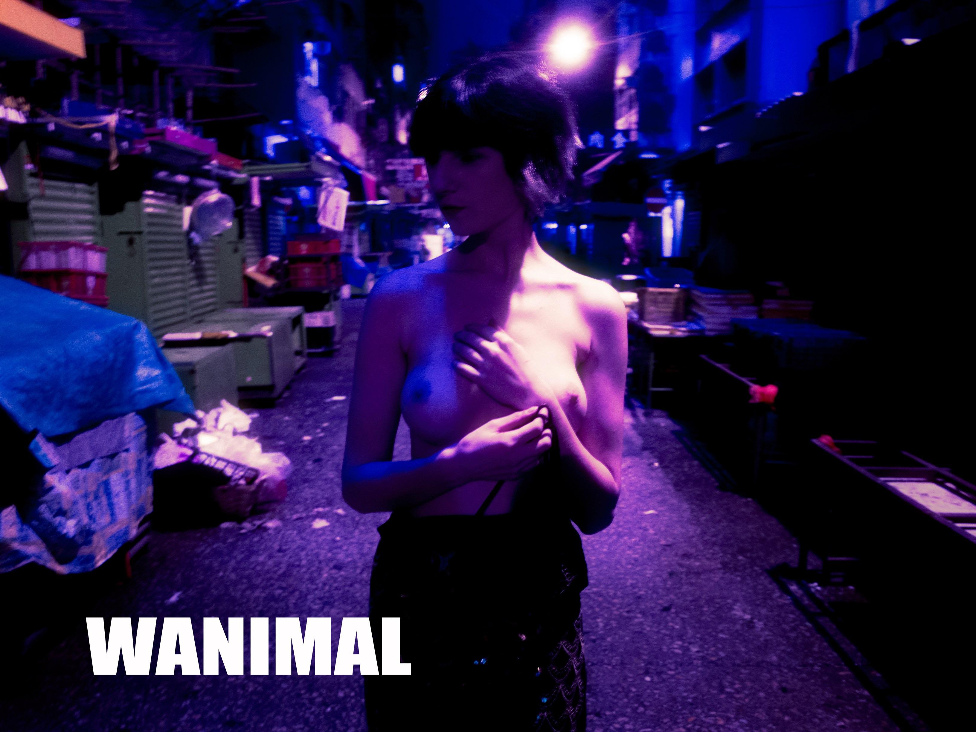WANIMAL王动作品 154P