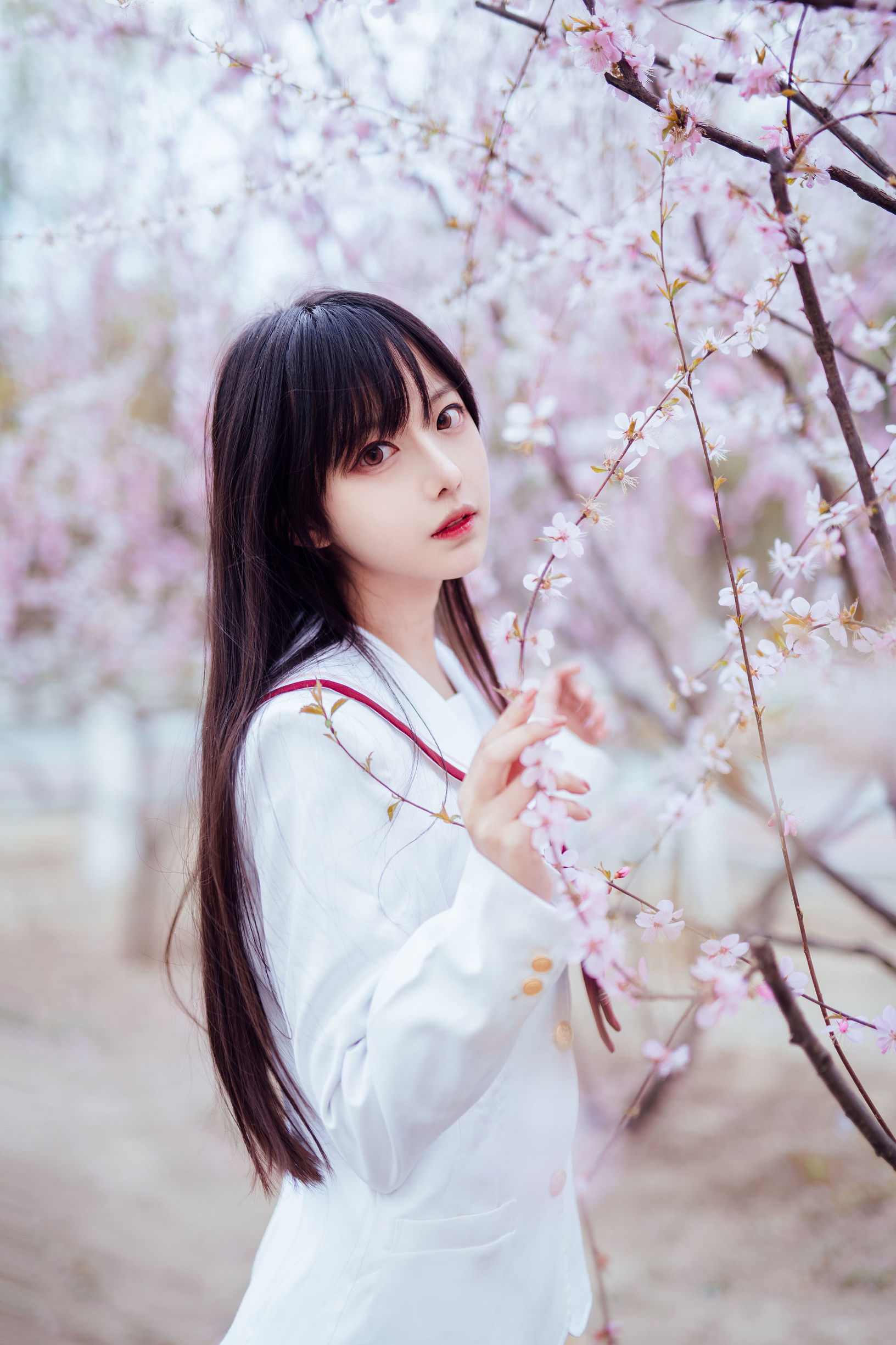 [萝莉COS] Shika小鹿鹿 - 樱花