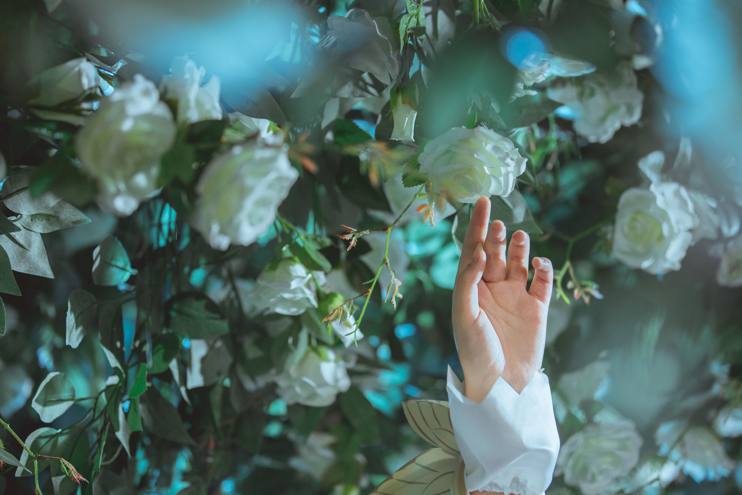 Popular cosplayer Qi Gu'er MIKI, Honor of Kings, Diao Chan Golden Midsummer Night's Dream