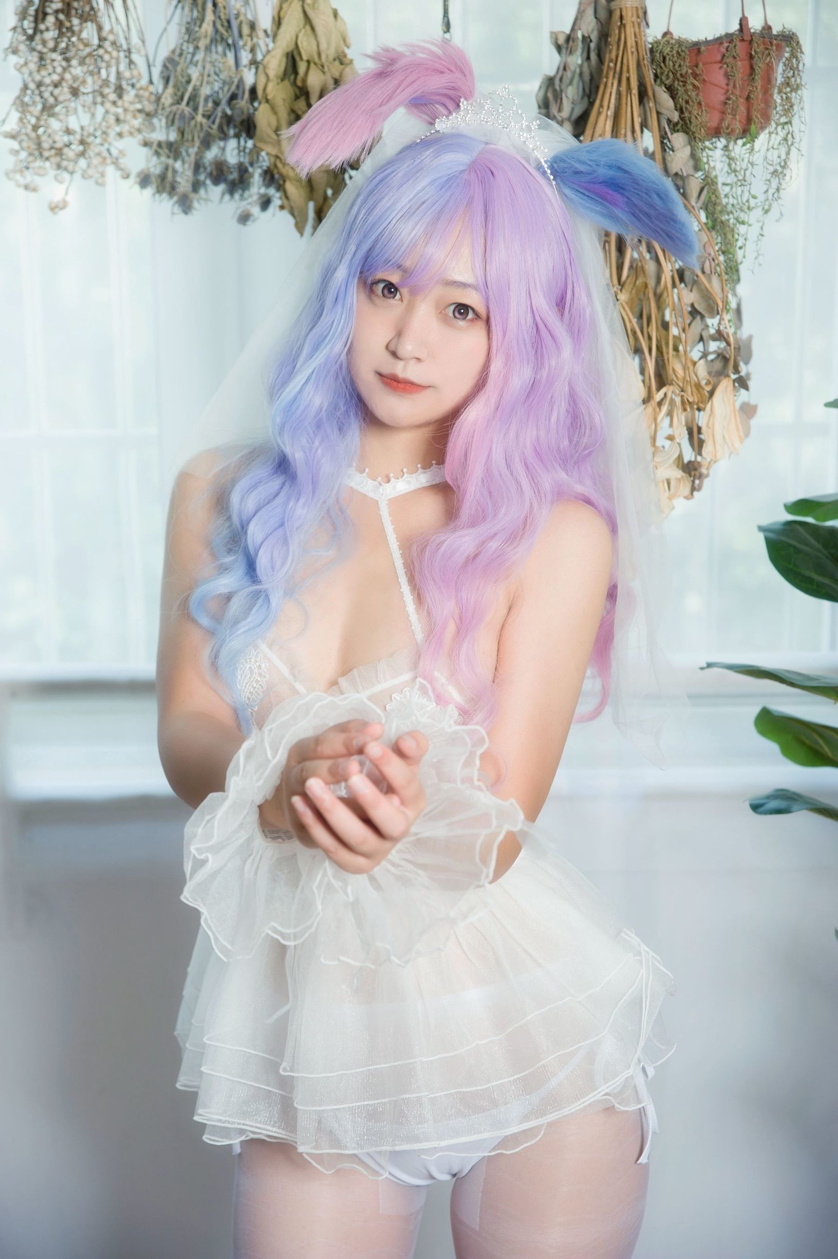 애니메이션 블로거 대완 파이먼 혼샤 토끼 백시 혼샤