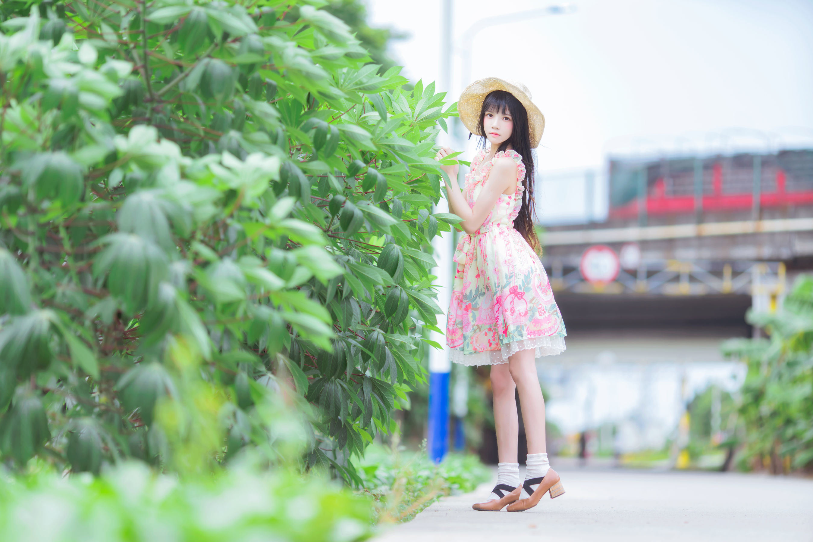 COSฟูไล] อิ่งเทาเมียว - สายลมฤดูร้อนอันสดชื่น