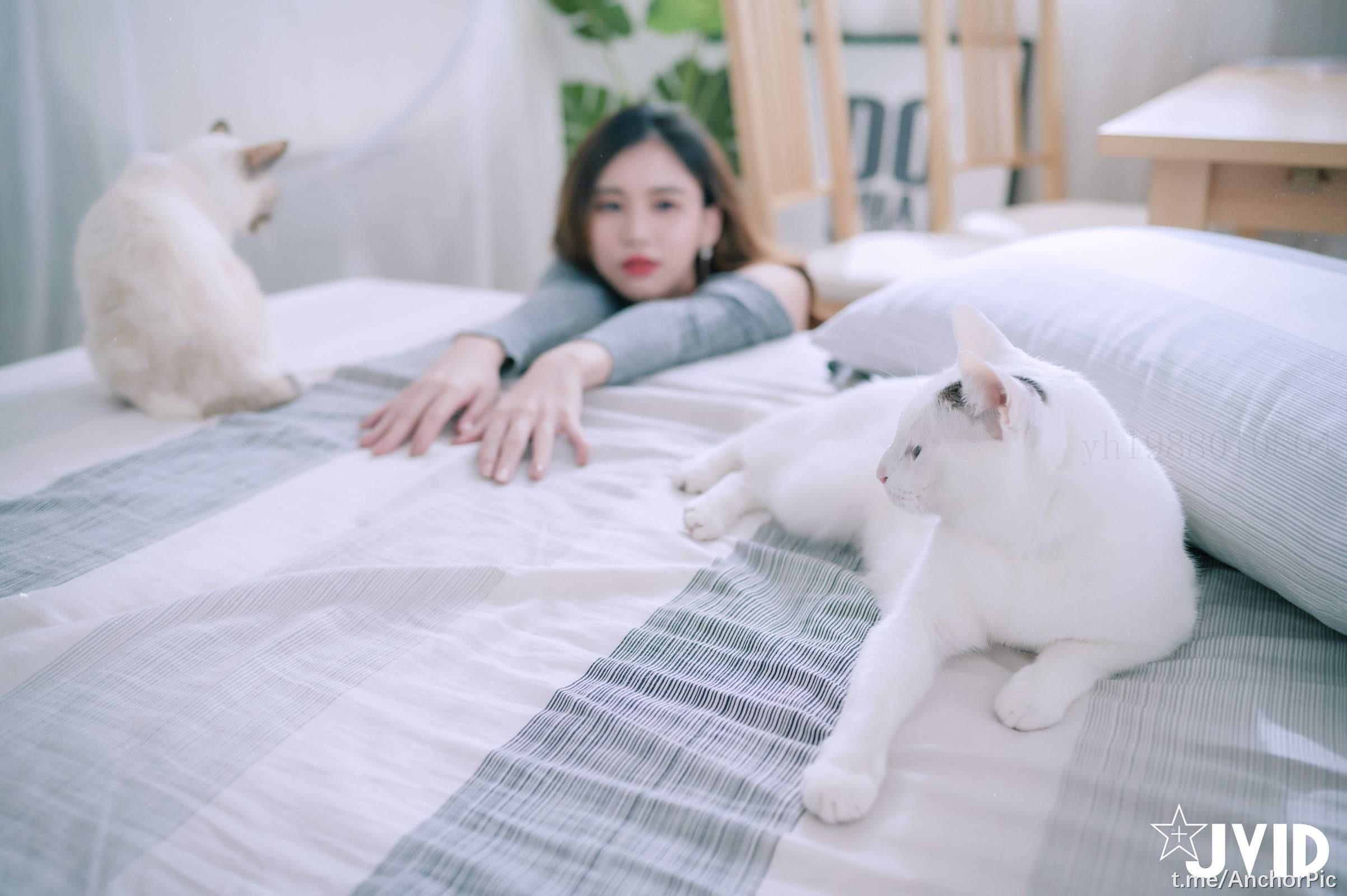 [JVID] Jessica - 到友人家看猫 被高潮 93P