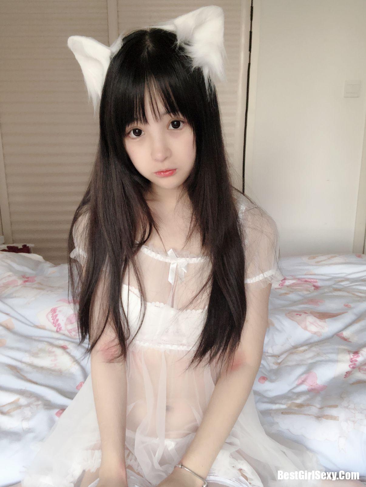 사쿠라이 닝닝] 작은 흰 고양이
