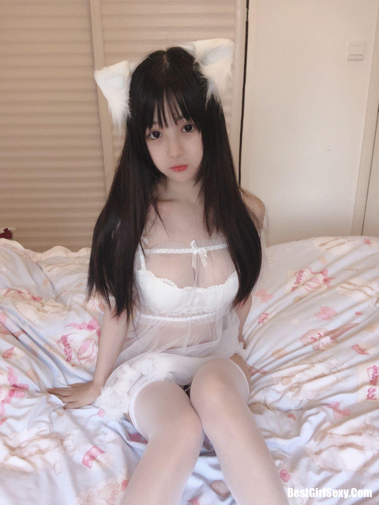 사쿠라이 닝닝] 작은 흰 고양이