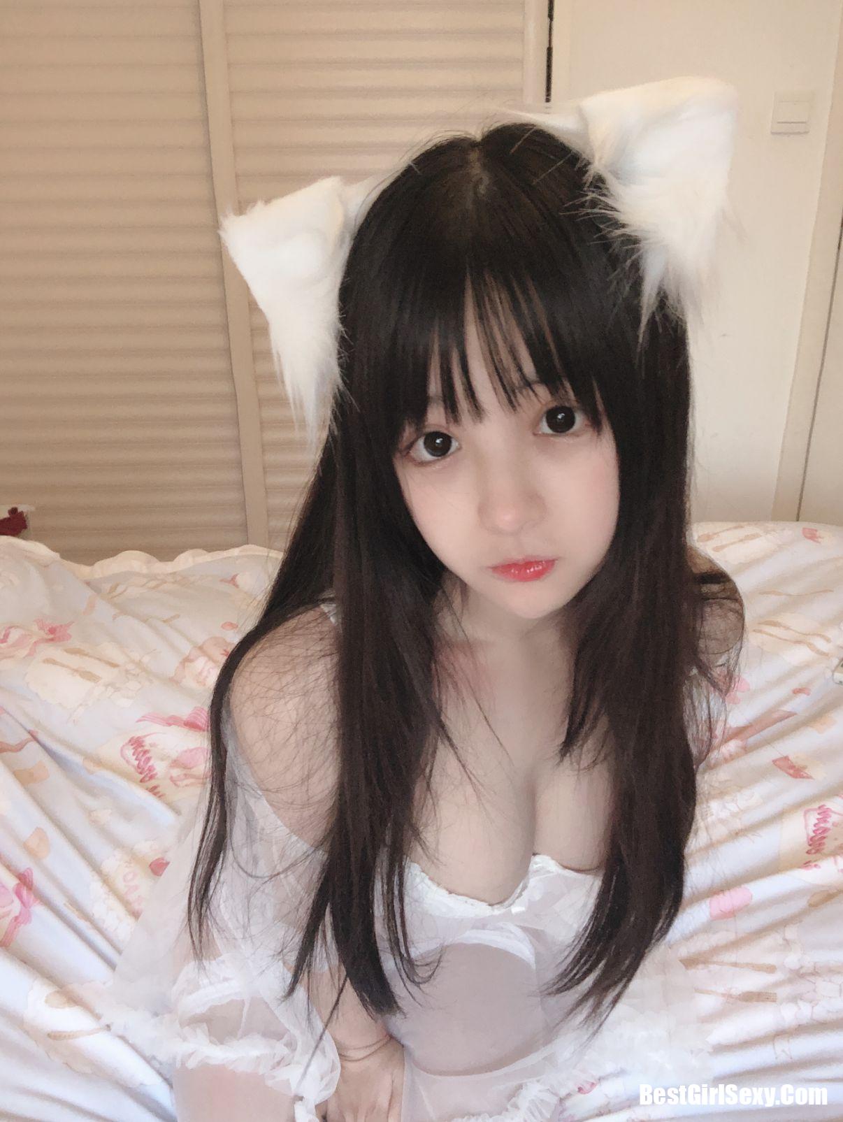 사쿠라이 닝닝] 작은 흰 고양이
