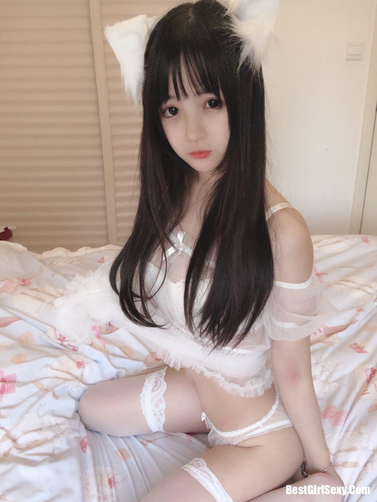사쿠라이 닝닝] 작은 흰 고양이