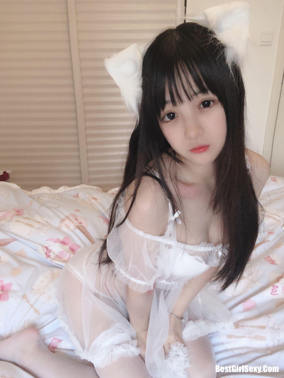 사쿠라이 닝닝] 작은 흰 고양이