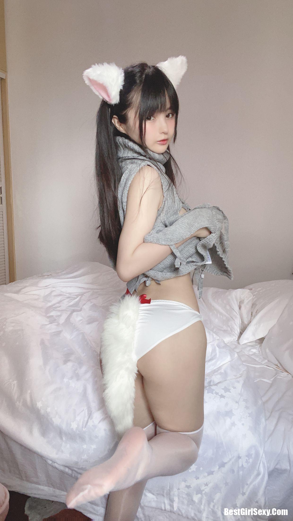 ซากุไร นิงนิง] แมวขาวตัวน้อย
