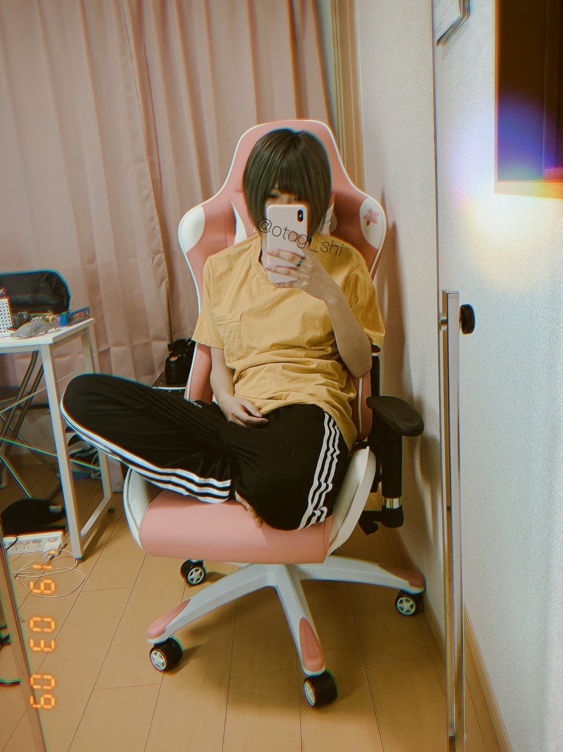 御伽樒