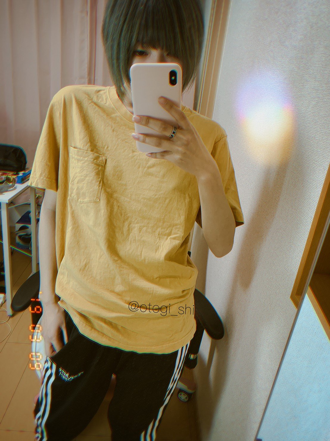 御伽樒