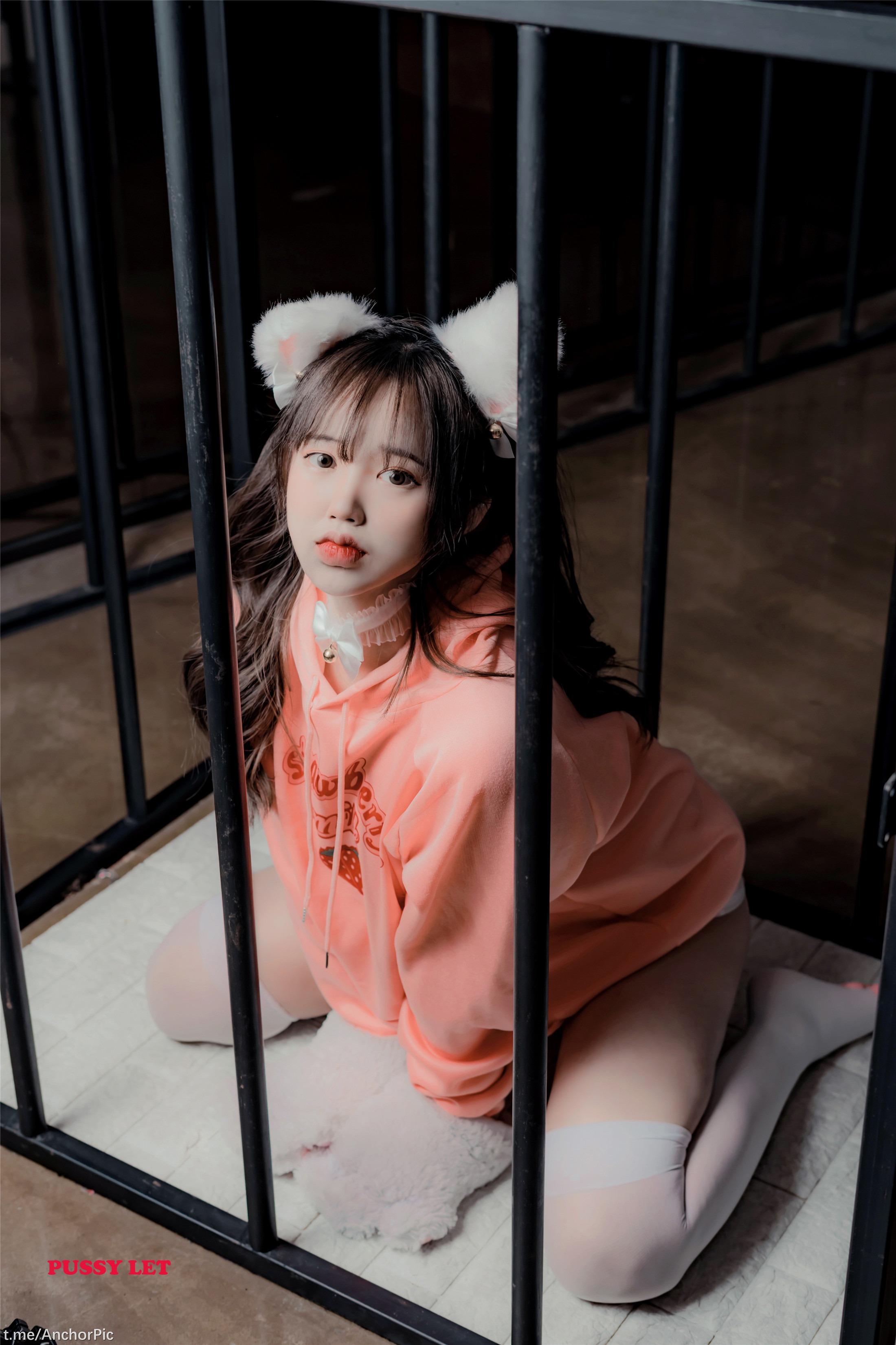 [Pussylet] Cony Vol.06 - Pet 70P