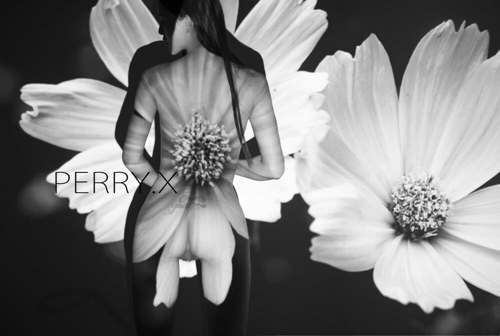PERRY.X Photography Collection