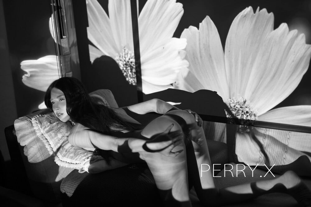 PERRY.X Photography Collection