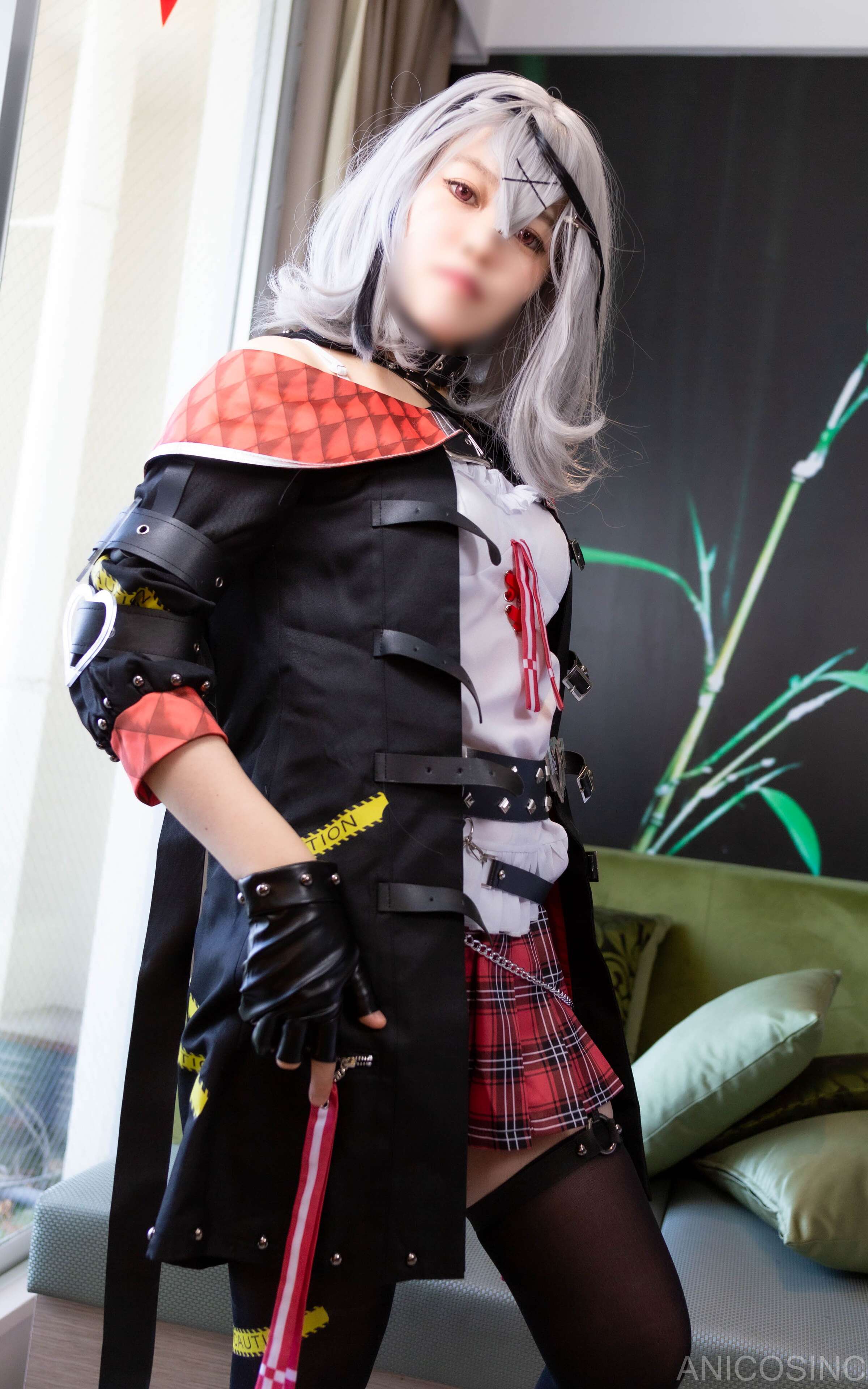 アニコスカンパニー ANICOSINC SKMT