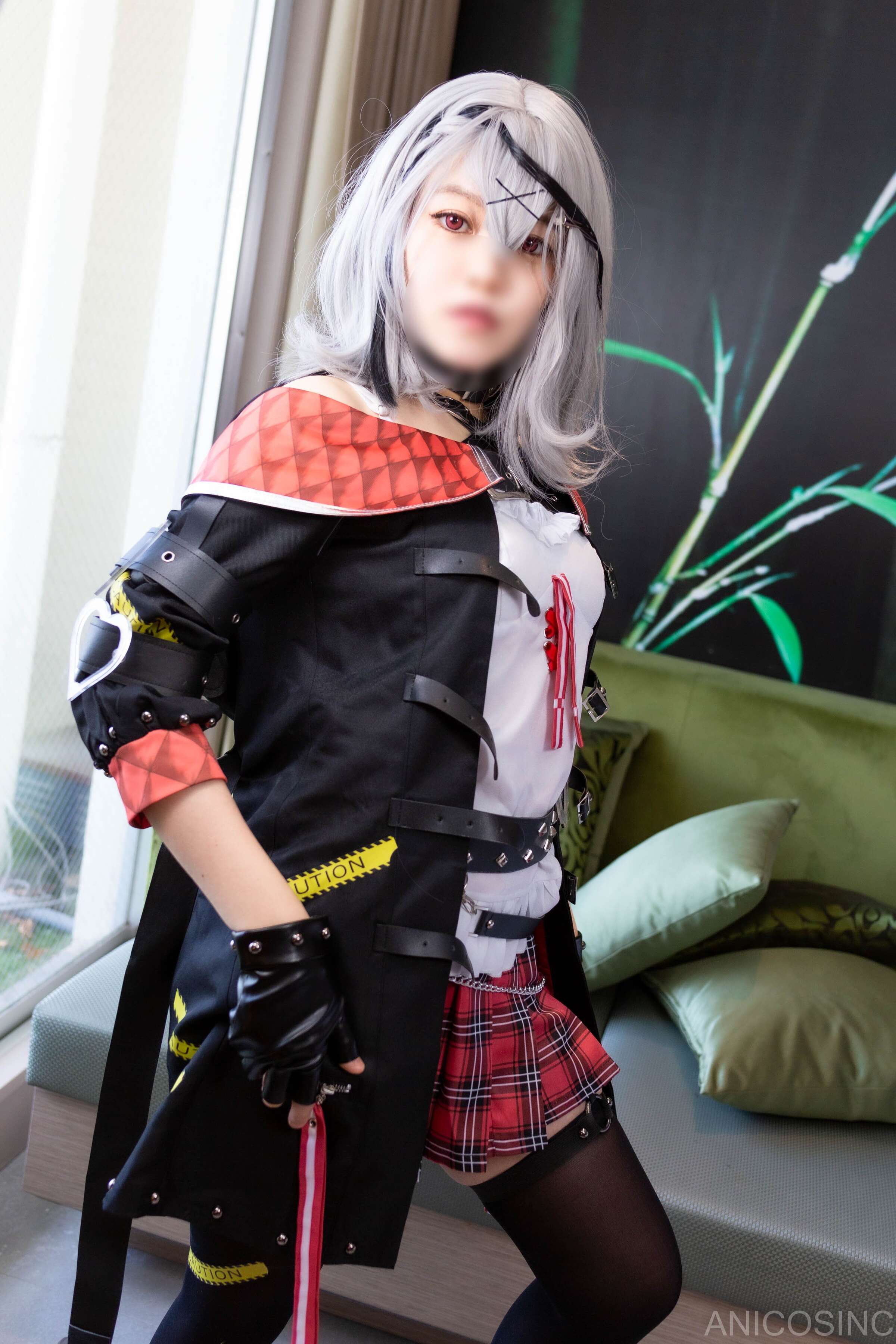 アニコスカンパニー ANICOSINC SKMT