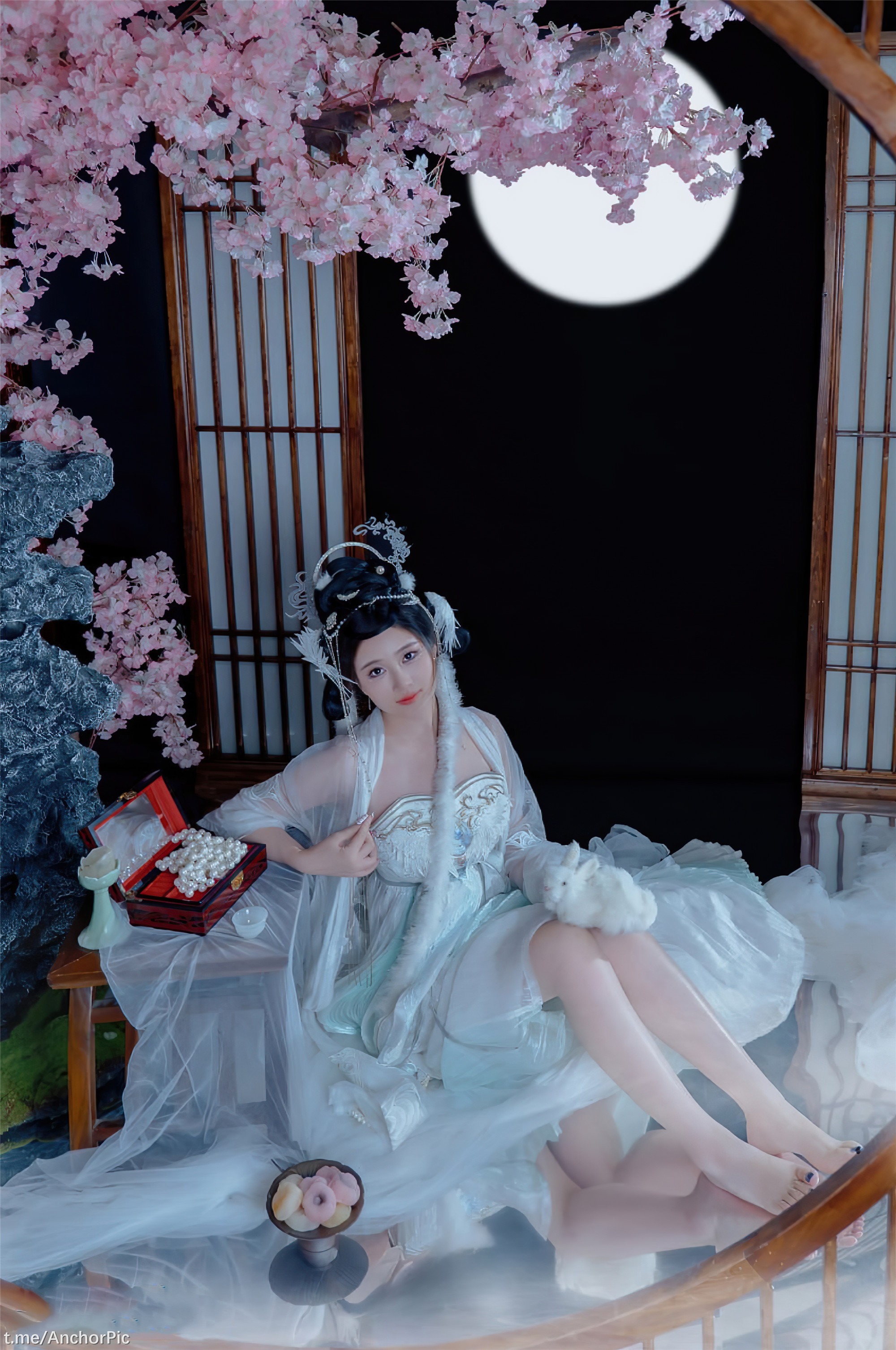 年年 - 嫦娥仙子 49P