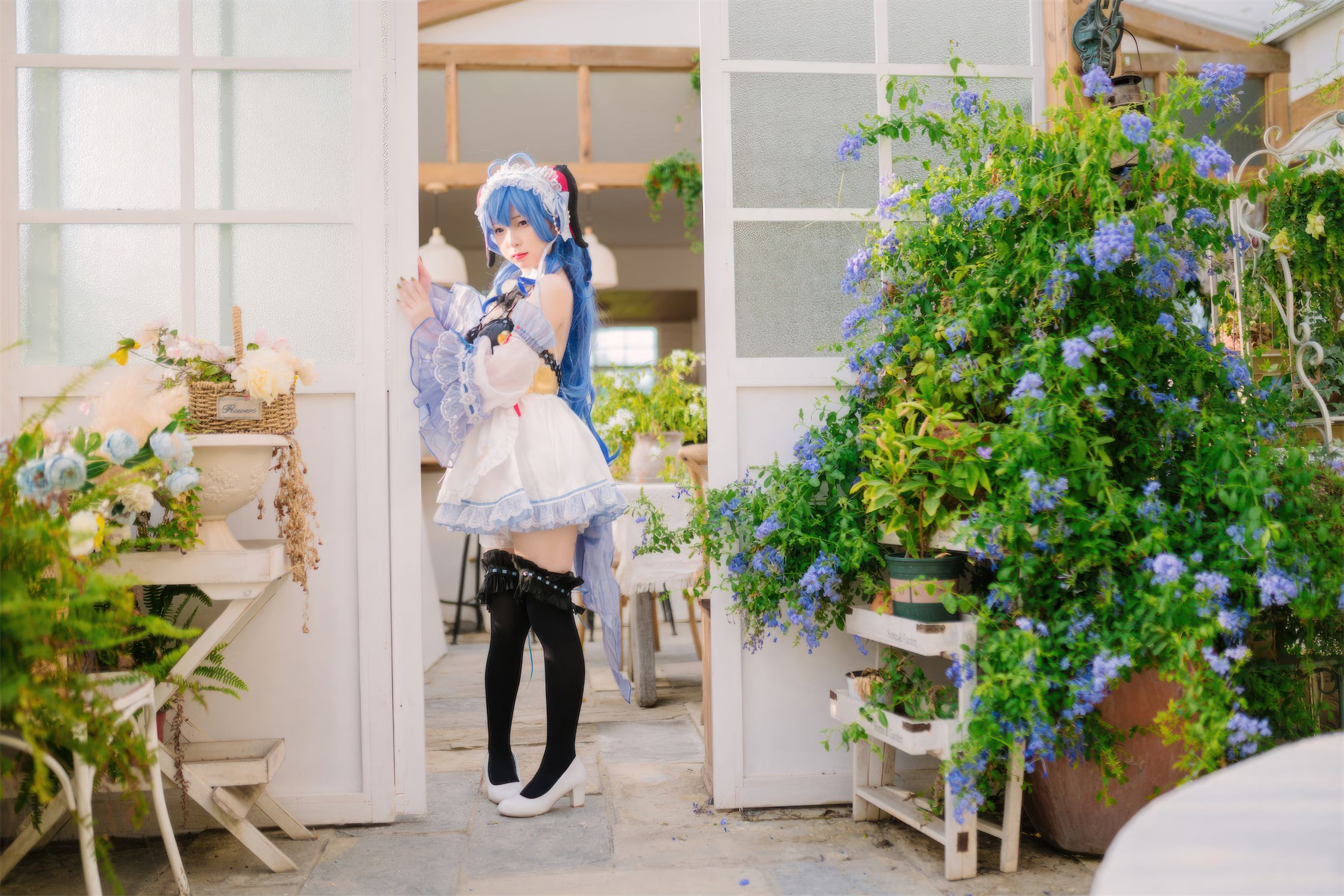 花铃 甘雨女仆