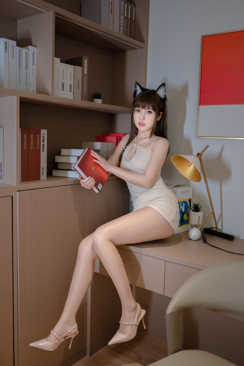 不呆猫 - 家教猫老师