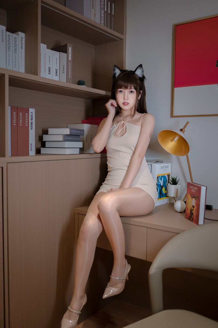 不呆猫 - 家教猫老师