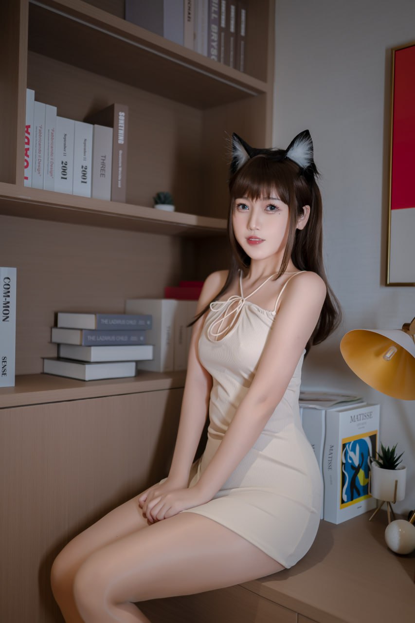 不呆猫 - 家教猫老师