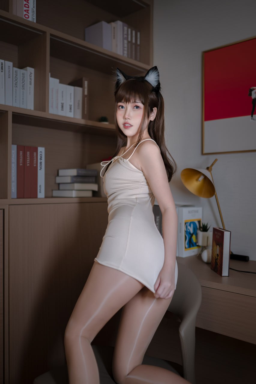 不呆猫 - 家教猫老师