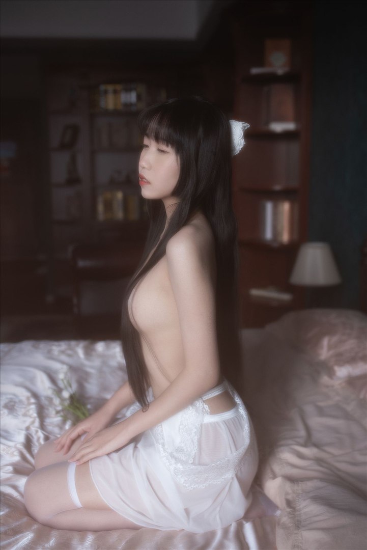 不呆猫 - 白月光 53P
