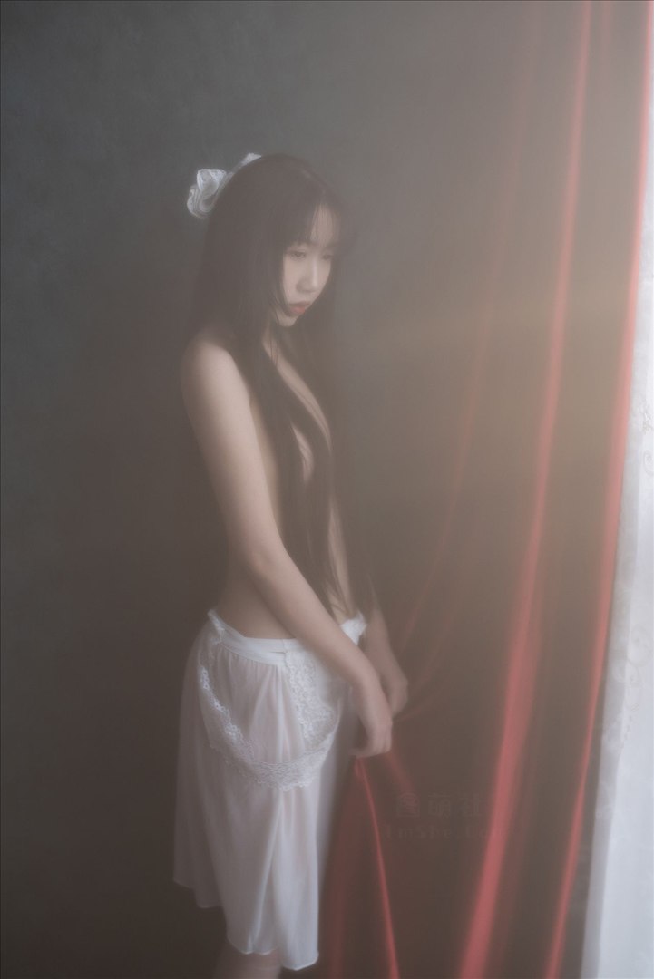 不呆猫 - 白月光 53P