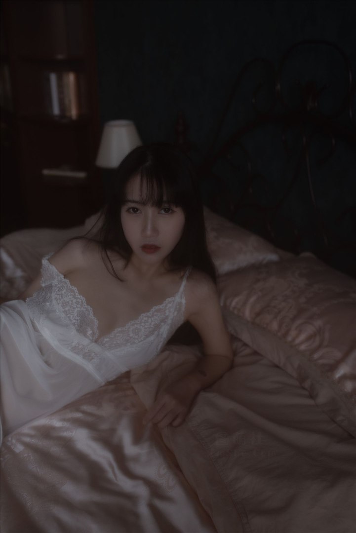 不呆猫 - 白月光 53P