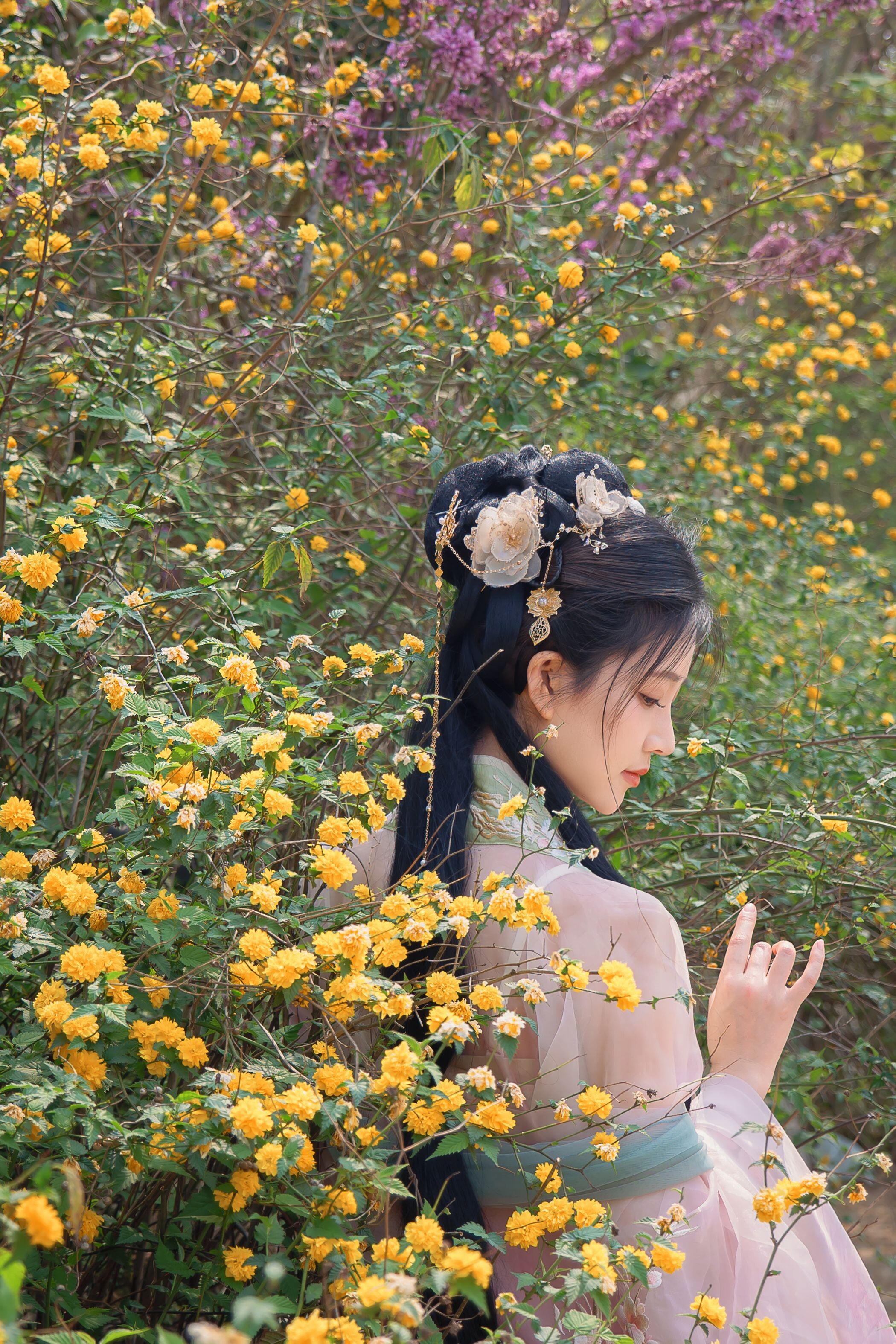 年年Nnian 海棠仙古装户外写真