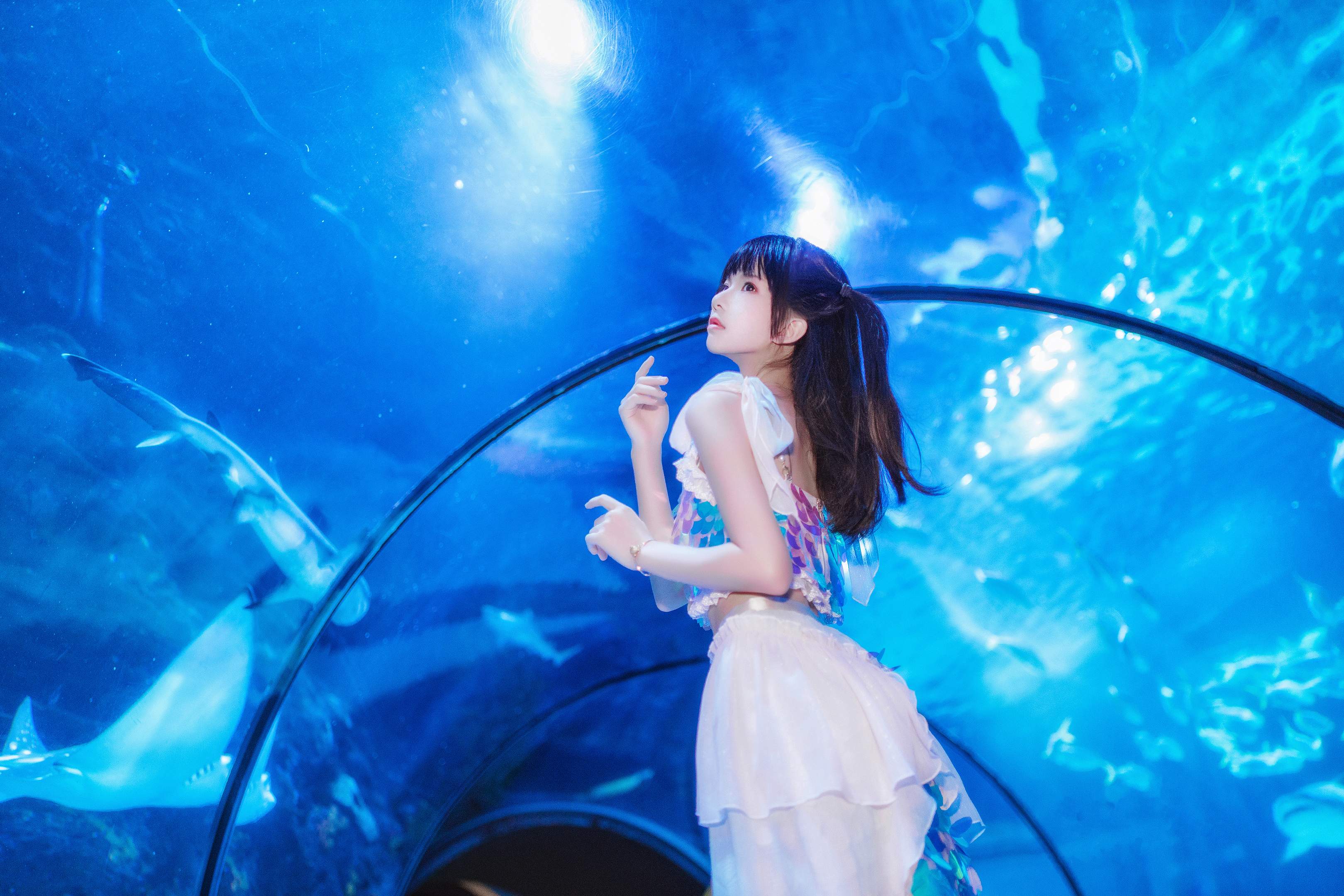 桜桃喵 - 水族馆