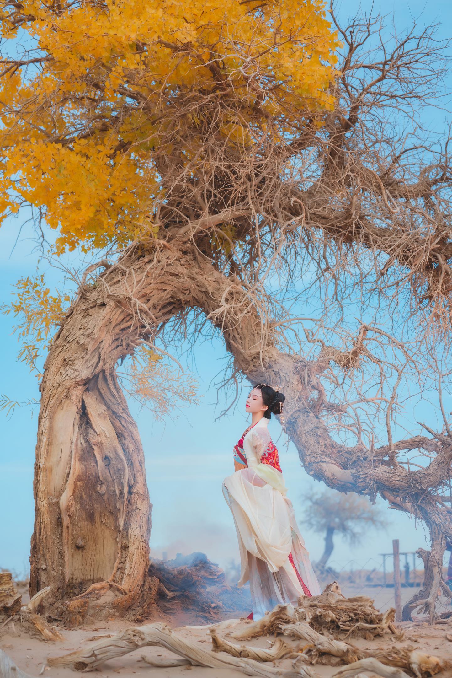 桜桃喵 - 惊鸿