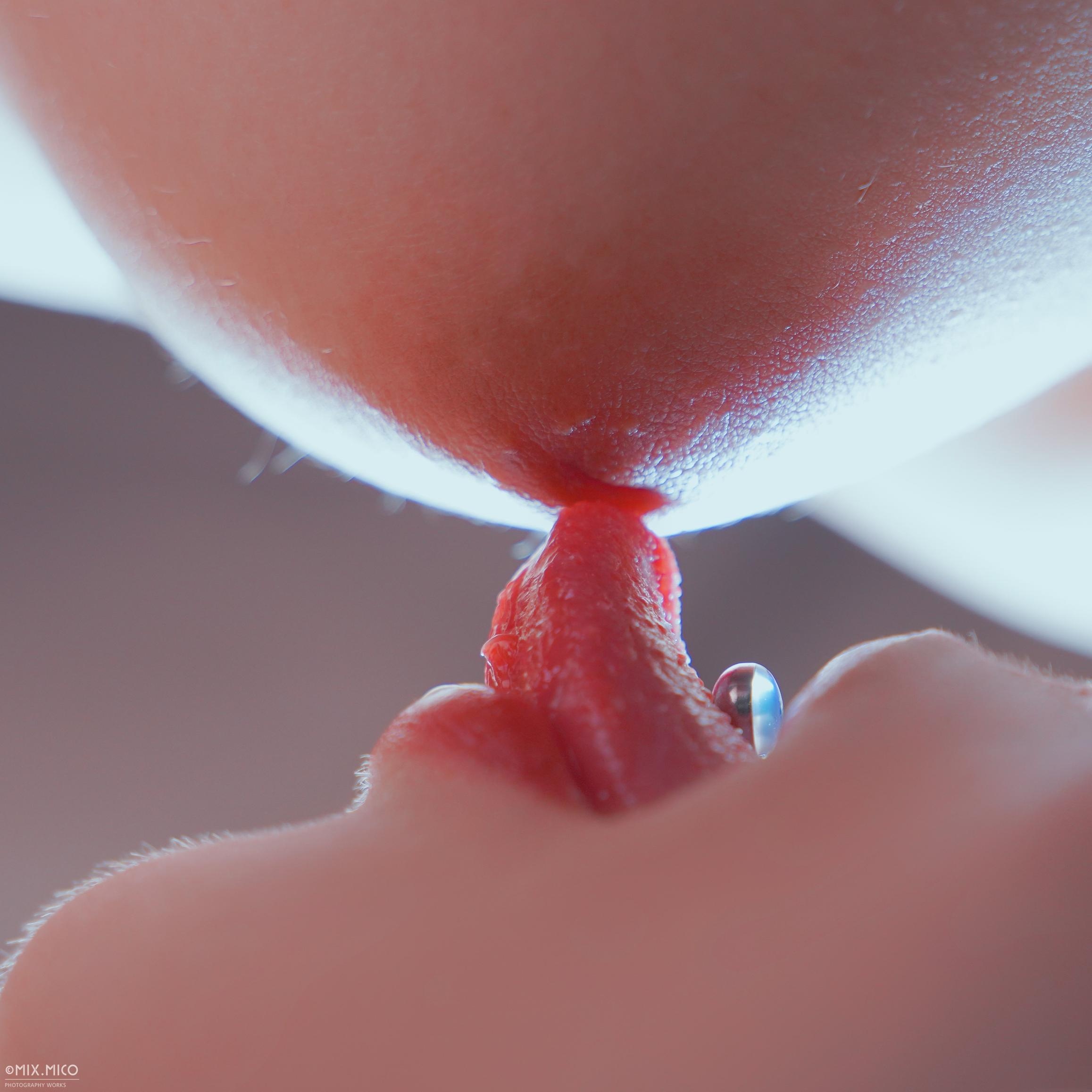 摄影师叫波哥就对了 | 唯美私拍与女体艺术合集 317P1V