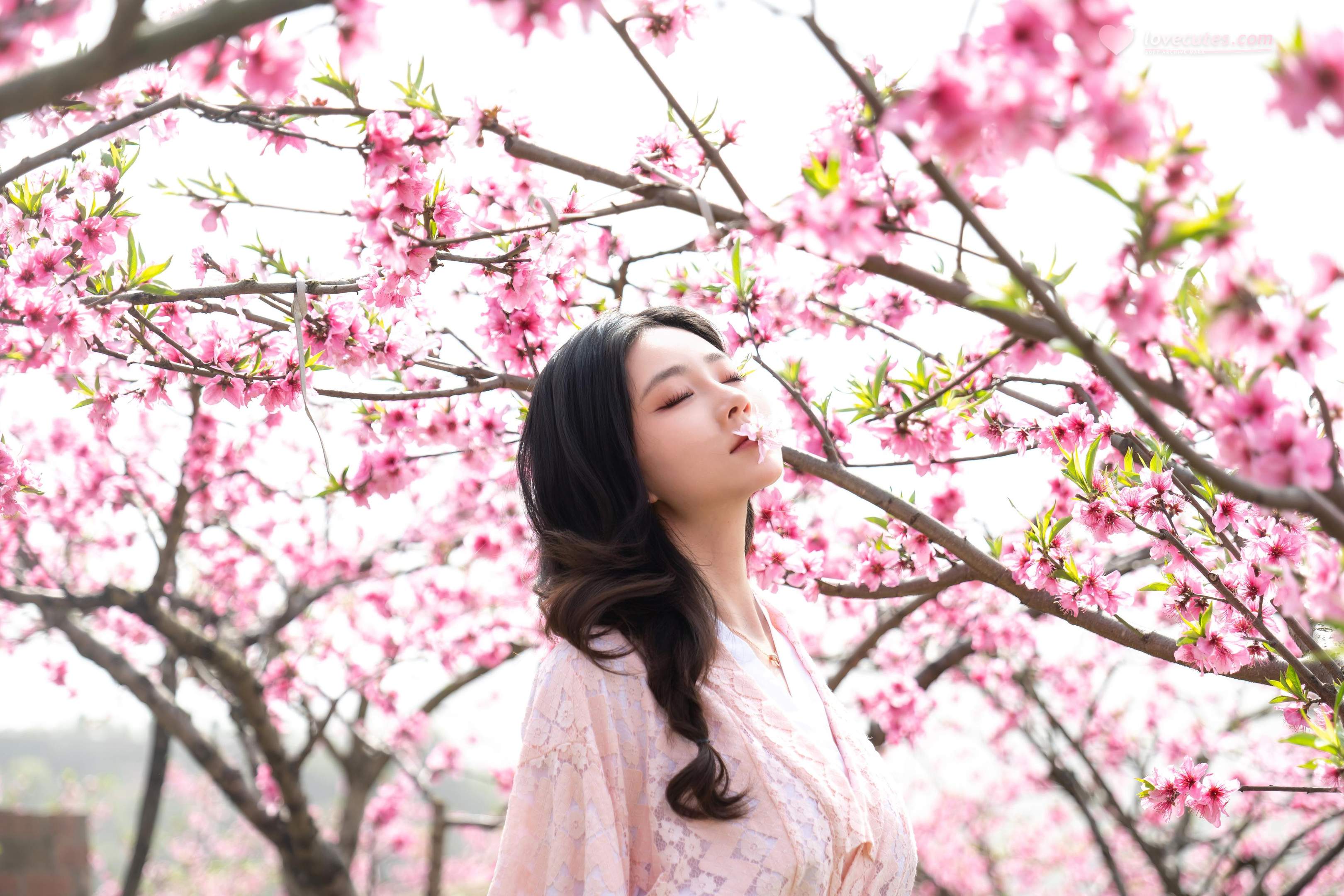[私房] 年年Nnian - 漫花：樱花古风外景与和风私房交织 柔美氛围下的大尺度呈现 86P