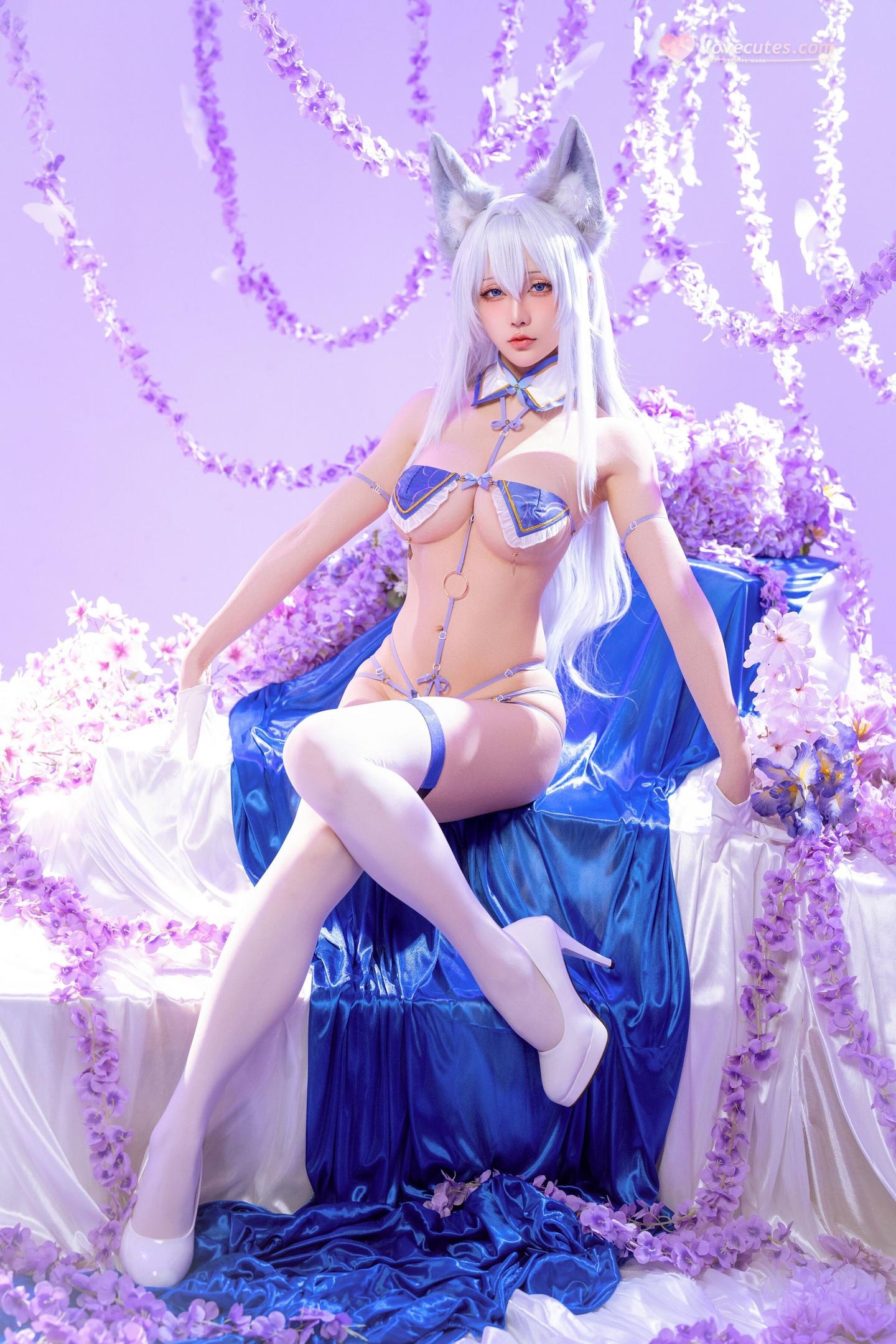 [cosplay] 星之迟迟Hoshilily - 碧蓝航线 信浓：狐耳白发蓝白礼装 白丝巨乳还原 60P