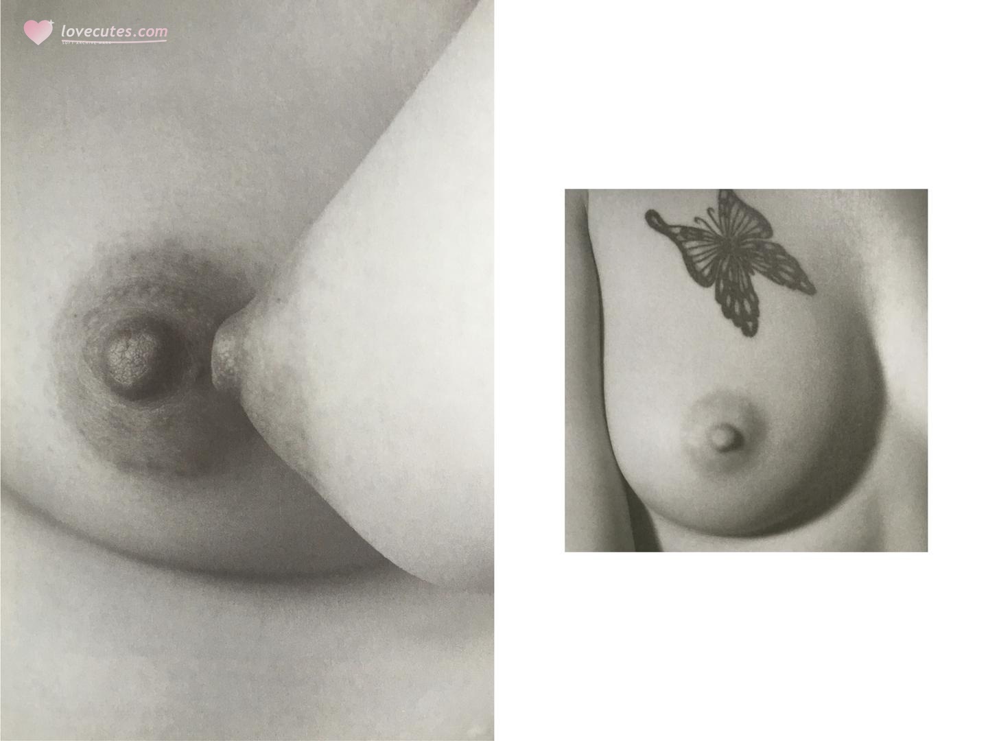 [写真] 100人のおっぱい - 日本美胸特写合集：黑白彩色乳房近景 51P
