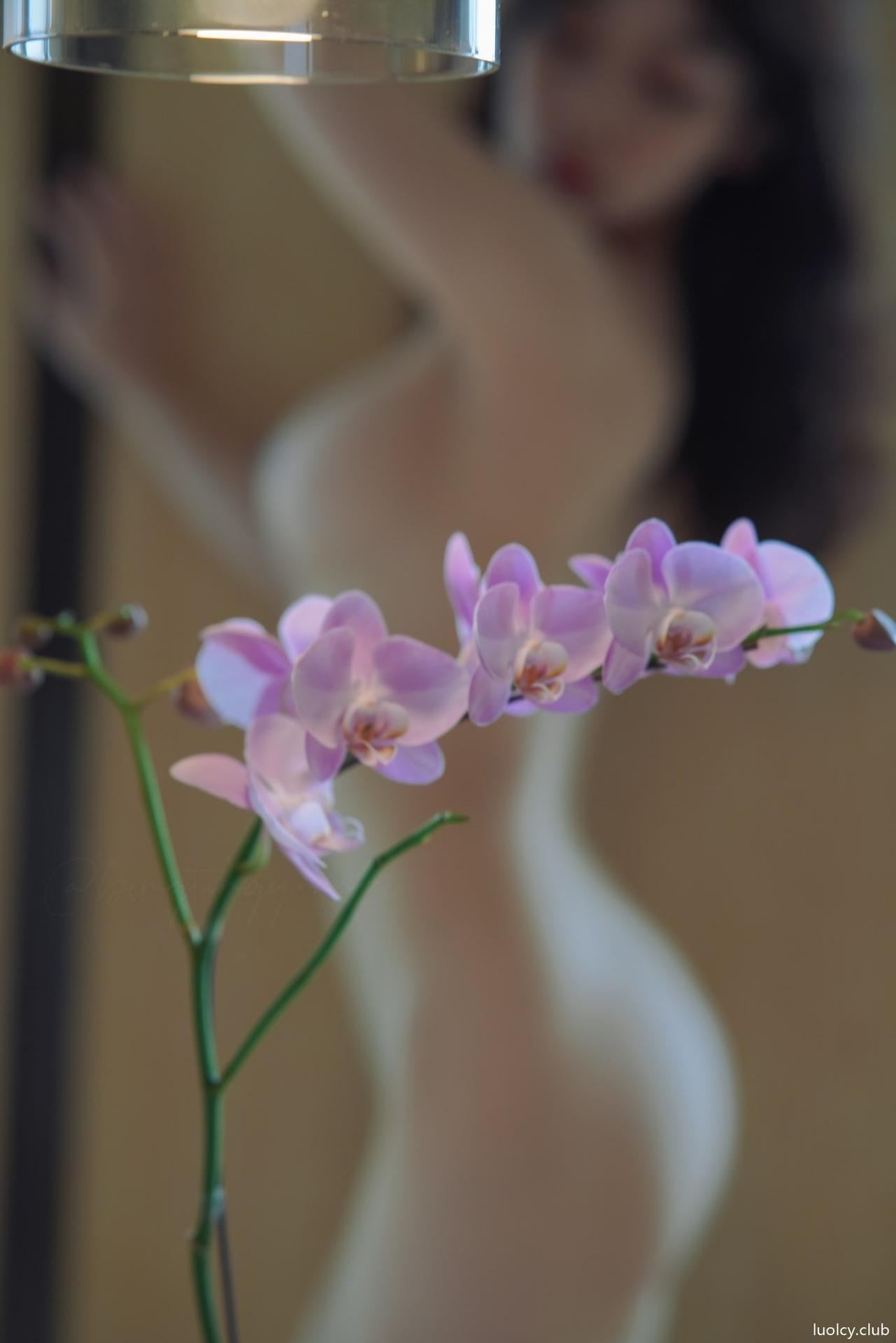 [私房] VYA-CAT - 唯美情色摄影写真集：情绪私拍大尺度合集 235P7V